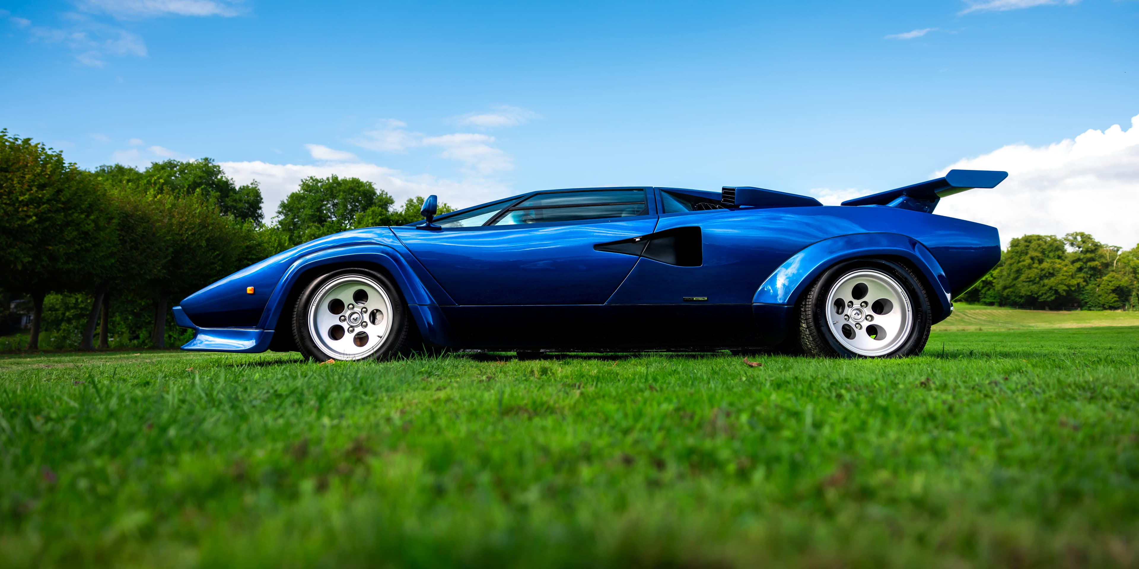 Blue Lamborghini Countach in a grassy field
